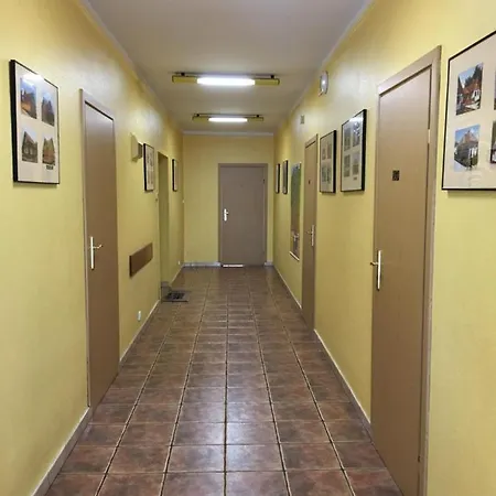 Drewland Lidzbark Warmiński