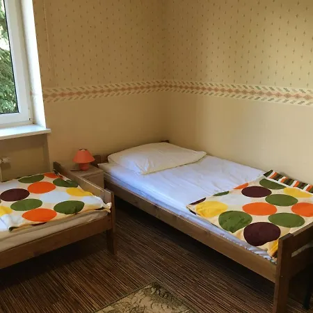 Drewland * Lidzbark Warmiński
